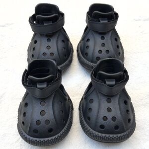 Black Dog Croc Shoes